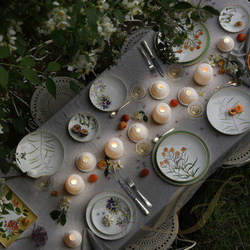 Коллекция Jardin Indien бренда Bernardaud