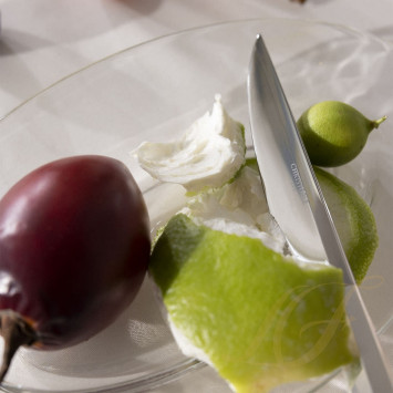 Нож универсальный 20,5см коллекции Infini 