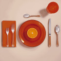 Столовая ложка 21см коллекции Talisman Tangerine 