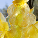 Коллекция Citrus бренда Daum