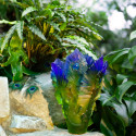 Коллекция Fleur de Paon Exotique бренда Daum