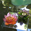 Курильница 19,5см коллекции Jardin de Lotus бренда Daum