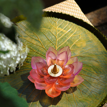 Курильница 19,5см коллекции Jardin de Lotus бренда Daum