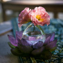 Солифор 19,5см коллекции Jardin de Lotus бренда Daum