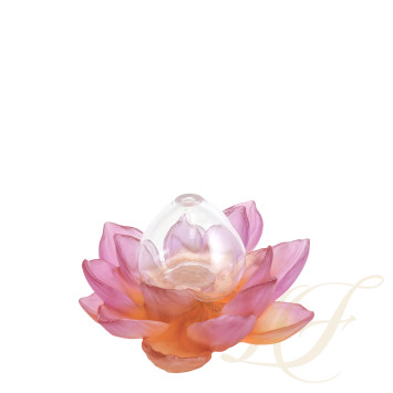Солифор 19,5см коллекции Jardin de Lotus бренда Daum