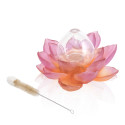 Солифор 19,5см коллекции Jardin de Lotus бренда Daum