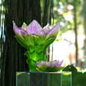 Коллекция Jardin de Lotus бренда Daum