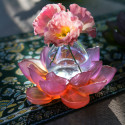 Коллекция Jardin de Lotus бренда Daum
