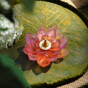 Коллекция Jardin de Lotus бренда Daum