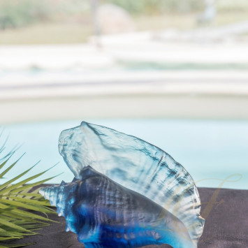 Коллекция Mer de Corail бренда Daum