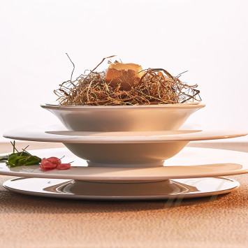 Чаша бульонная 17см бренда Richard Ginori