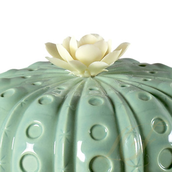 Ароматический диффузор 