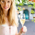 Коллекция Sommeliers бренда Riedel