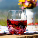 Коллекция Tumbler Collection бренда Riedel