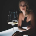 Коллекция Winewings бренда Riedel