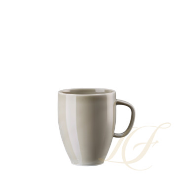 Кружка 0,38л, 2шт. коллекции Junto Pearl Grey бренда Rosenthal