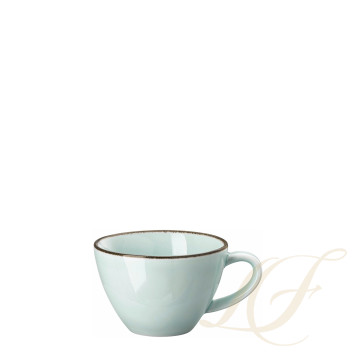 Чашка эспрессо с блюдцем 0,11л коллекции Profi Casual Mint бренда Rosenthal