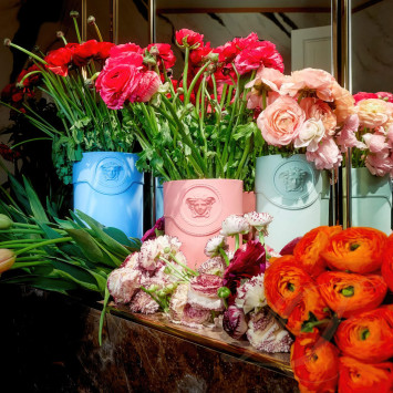 Коллекция La Medusa бренда Rosenthal Versace