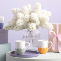 Кружка 0,29л коллекции Fleur 