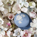 Коллекция Magnolia Blossom бренда Wedgwood