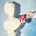 Коллекция Renaissance Red Accents бренда Wedgwood