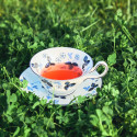 Чашка чайная с блюдцем 177мл коллекции Wild Strawberry Inky Blue бренда Wedgwood