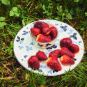 Набор из 8 предметов коллекции Wild Strawberry Inky Blue бренда Wedgwood