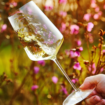 Бокал универсальный 530мл, 2шт. коллекции Denk`Art бренда Zalto